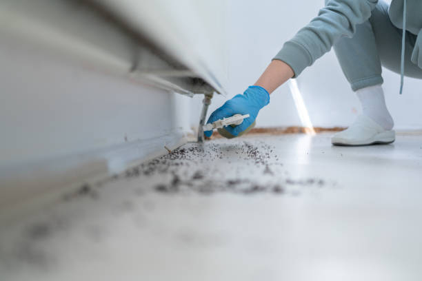 Best Wildlife Control Services  in Bay City, TX
